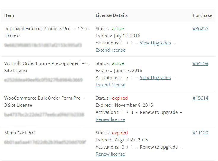 license upgrade details
